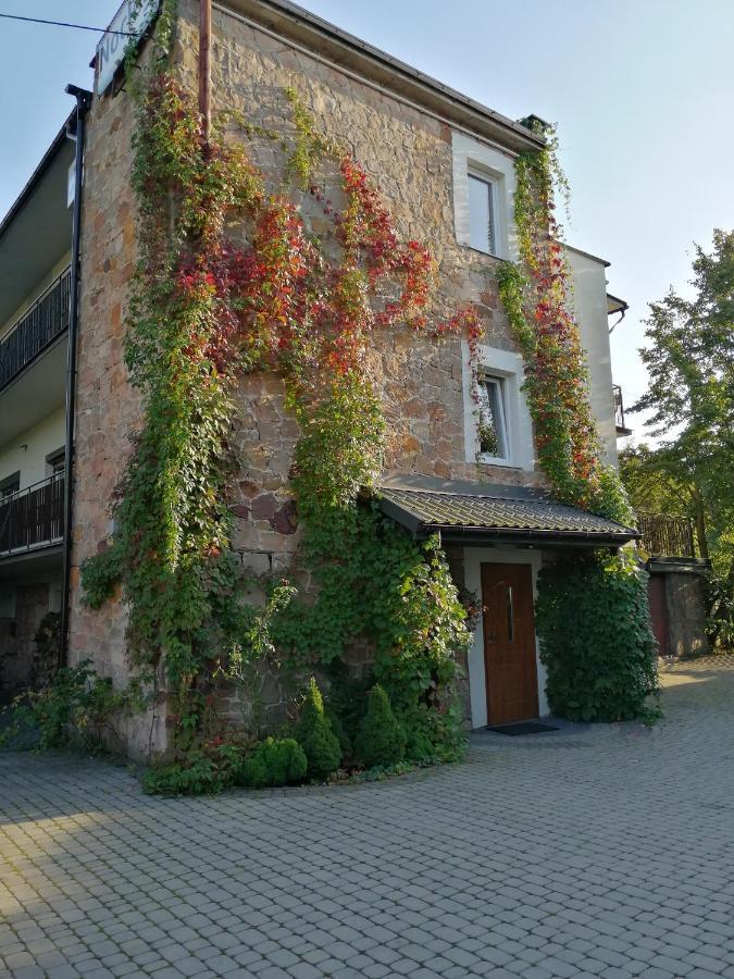 Lesna Villa Wisniowka  Экстерьер фото